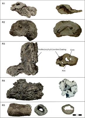 New insights into the archives of redox conditions in seep carbonates from the northern South China Sea